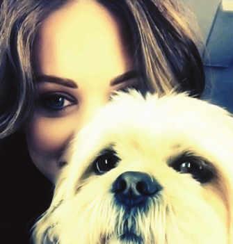 ������� ���������