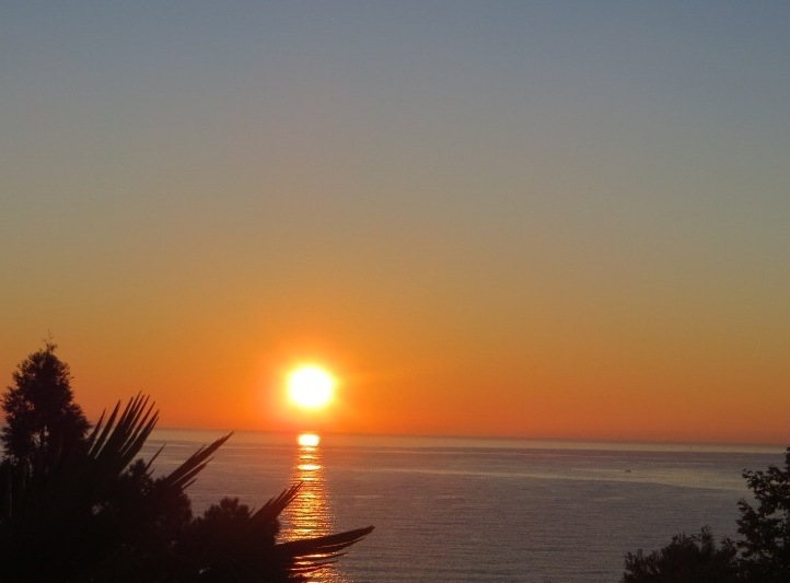 ��� ������