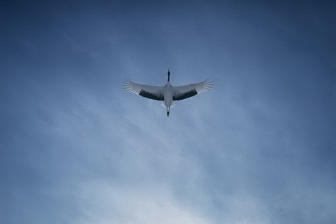 �������� ������