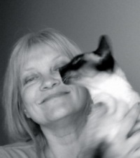 ����� �����