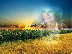 ������ ������