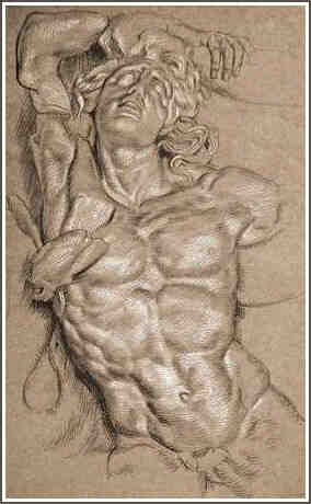 ���������ff