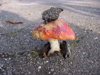 �-�� ����