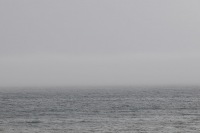 ����� ���������