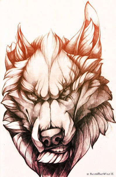 ����� ��������