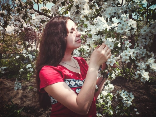 �������� ����