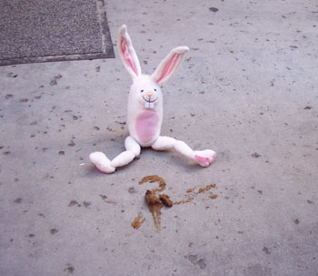 ����-�� �����