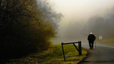 ������ ����������