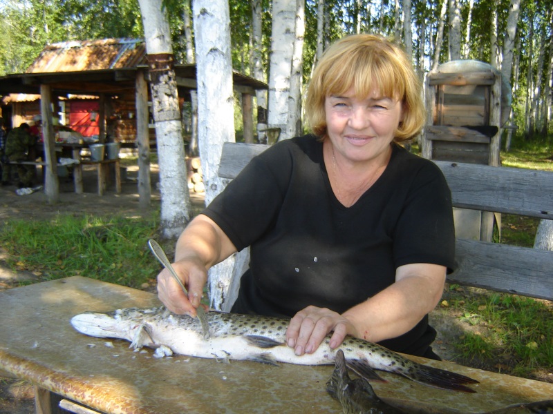 �������� ������