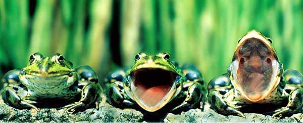 ���� ������