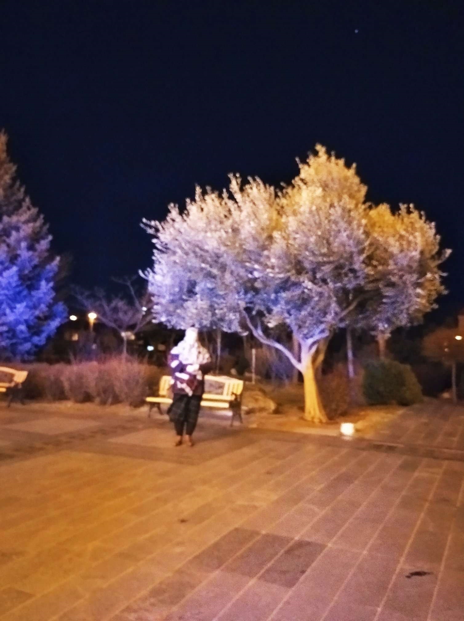 ������ ���������� �����