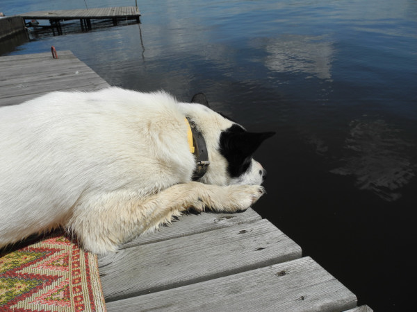 �������