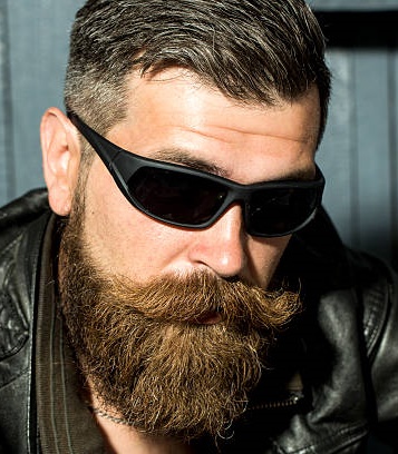 ���� �����������