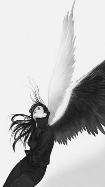 ����� �����