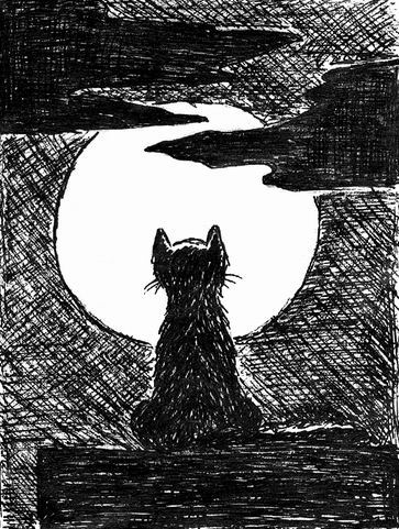 ���� �������