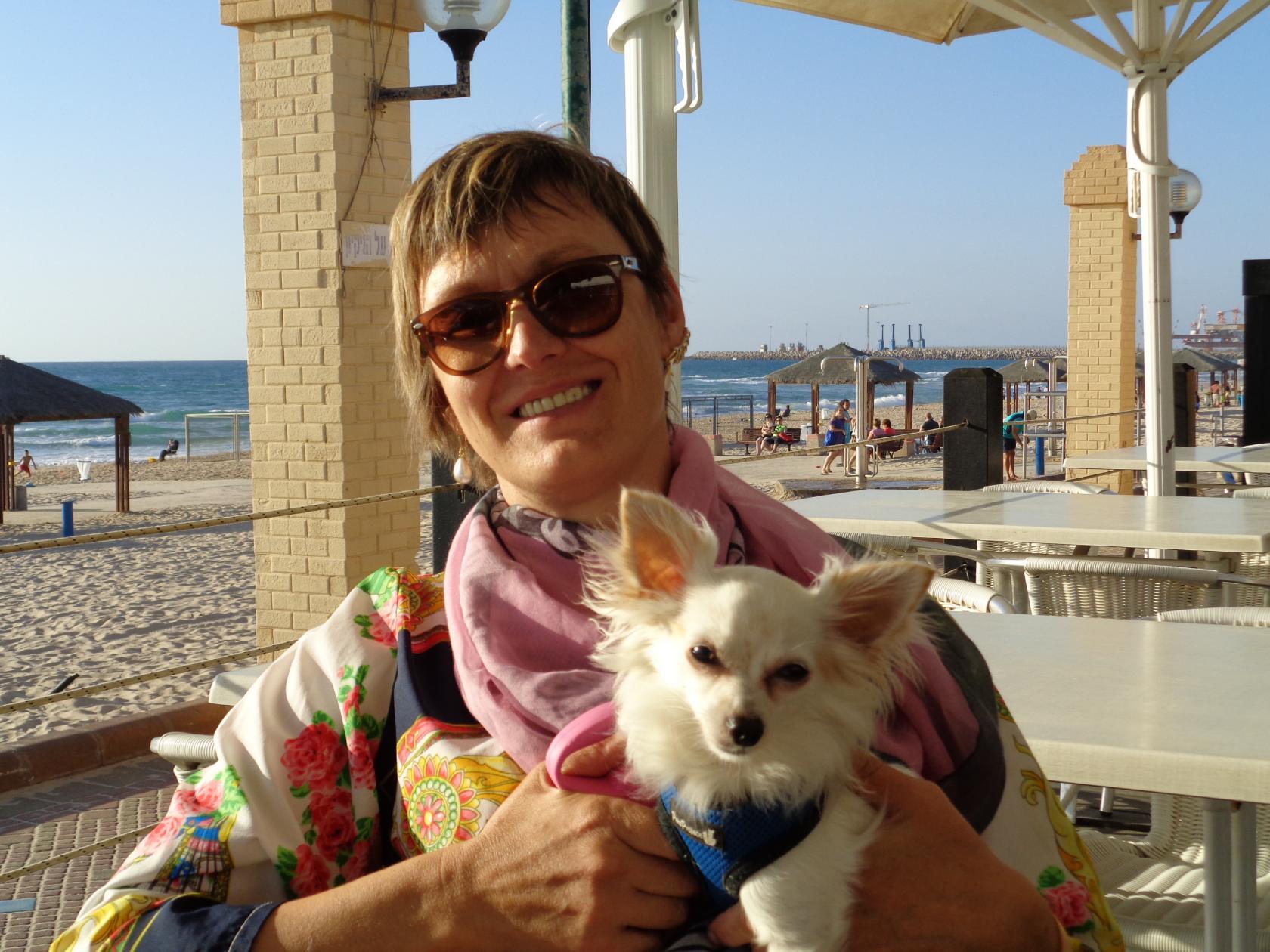 ���� ����