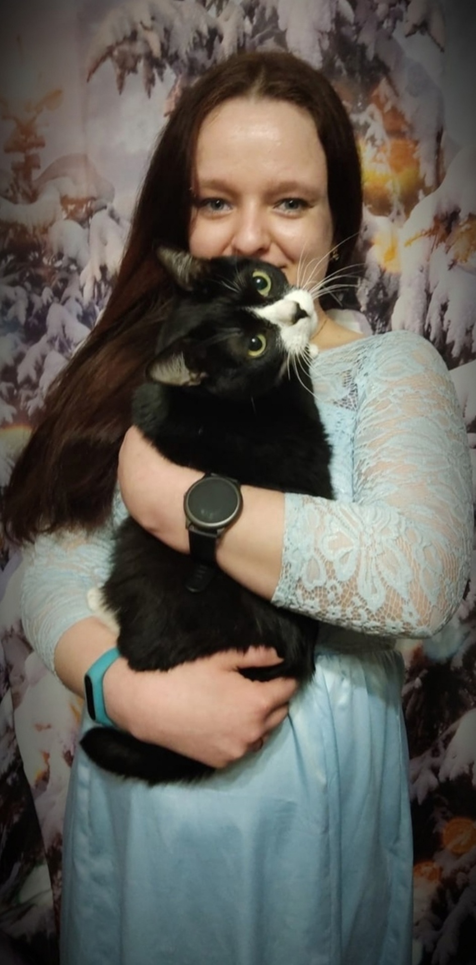 �������� ���������