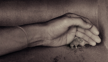 ������� ������