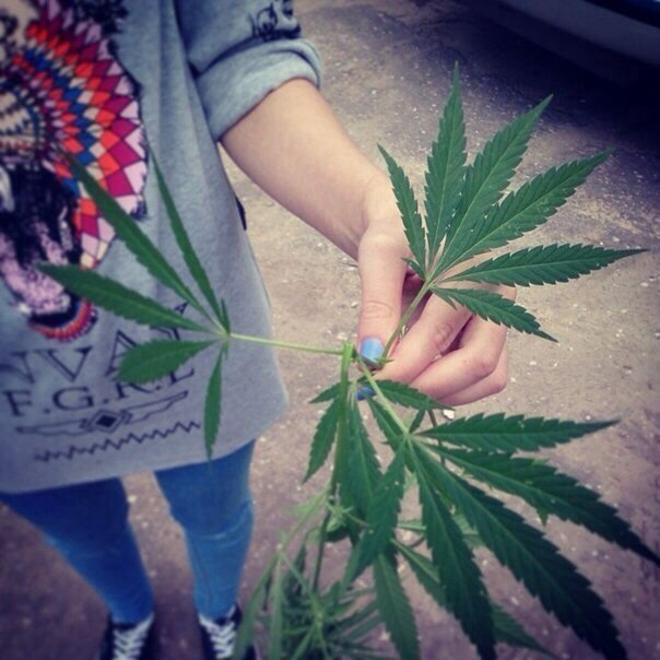 ����� �������