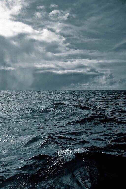 ������� ���������