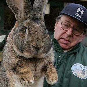 Сергей Лёвенгауэр