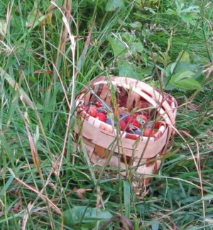 Раиса Серова