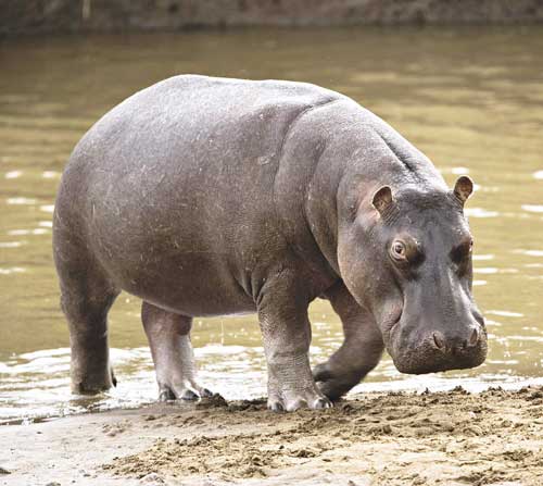 ����������