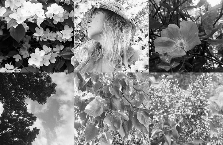 ����� �������