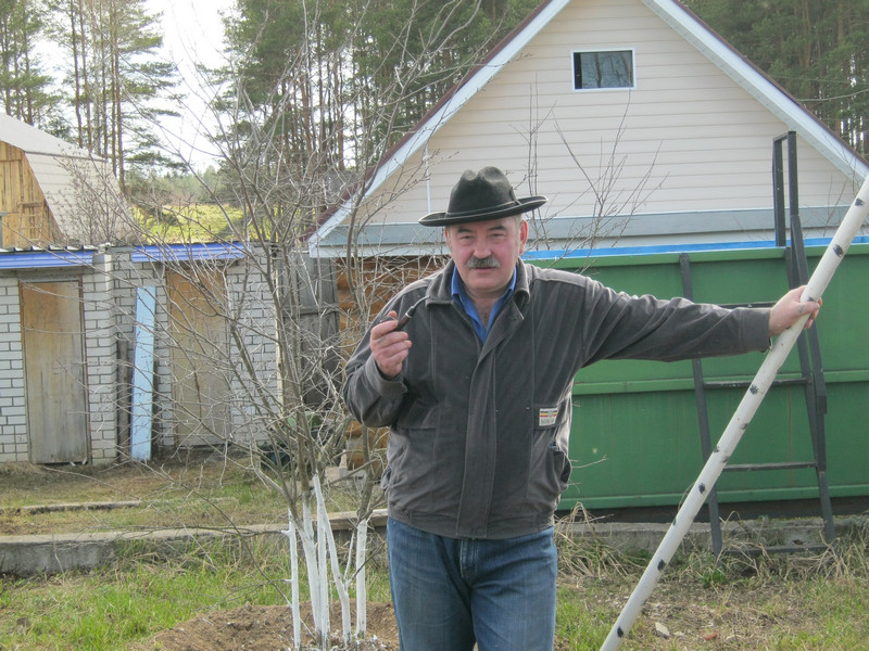 ������ ������