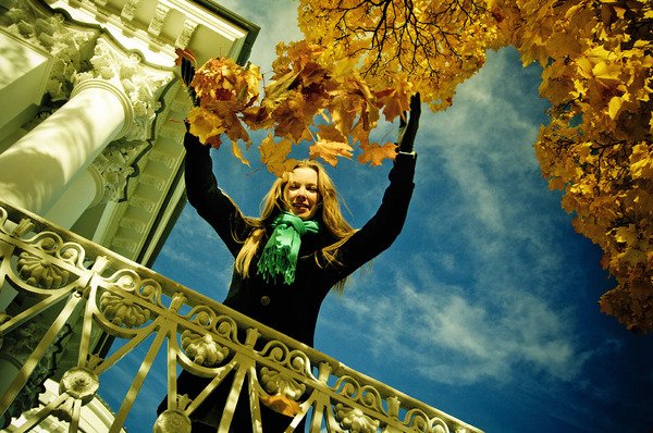 ���������� ��������