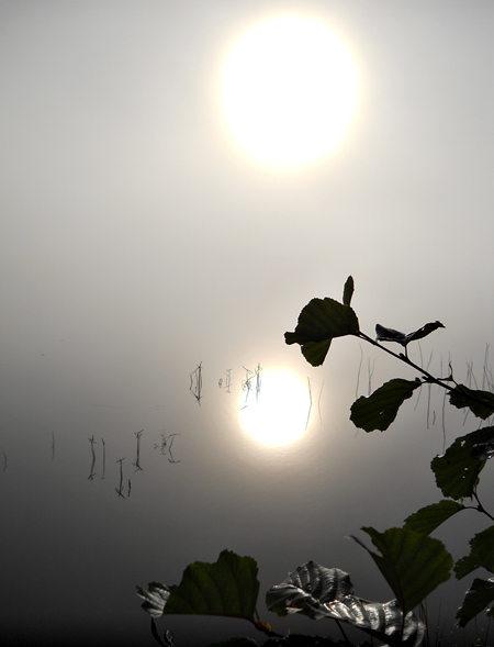 ������� �����