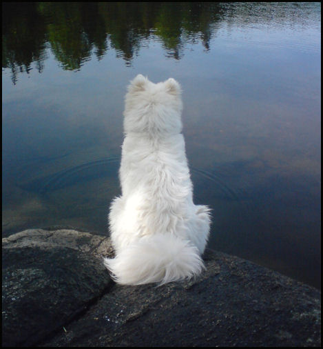 ������� ������