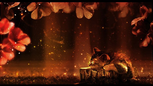 ��������� ����