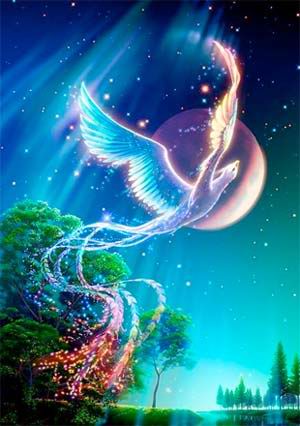 ������ ������ 3