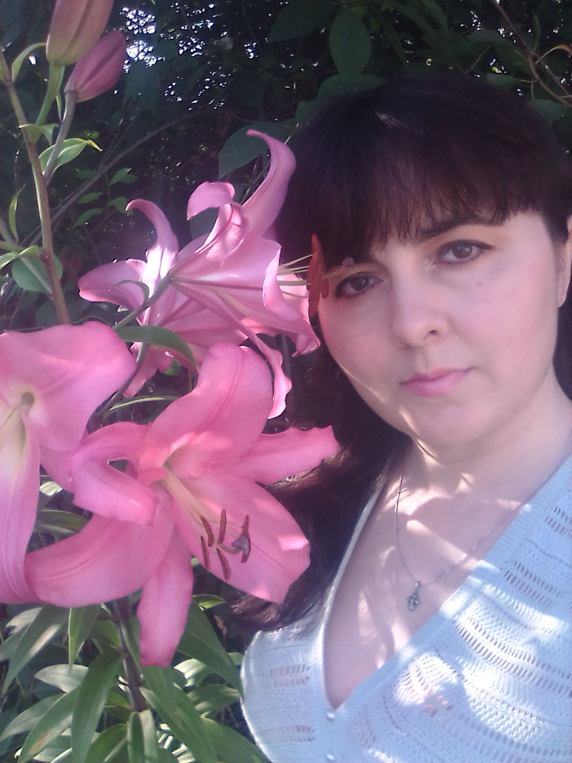 ������ ��������