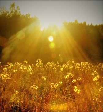 Хромова Татьяна