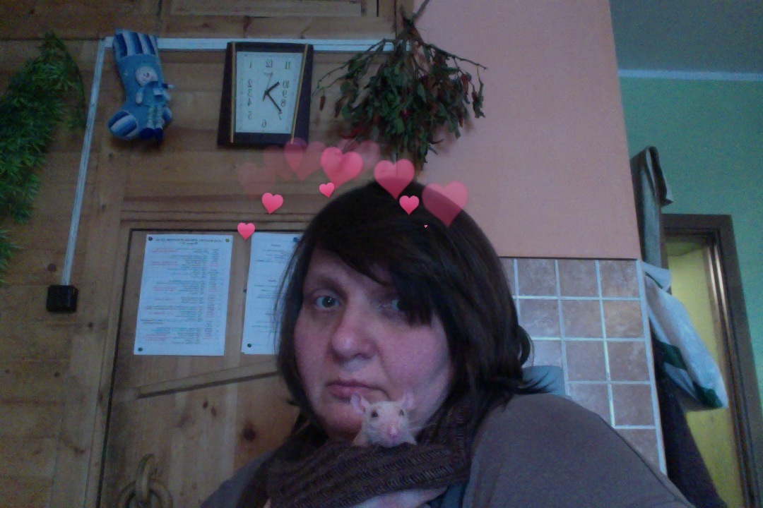 �������� �����������