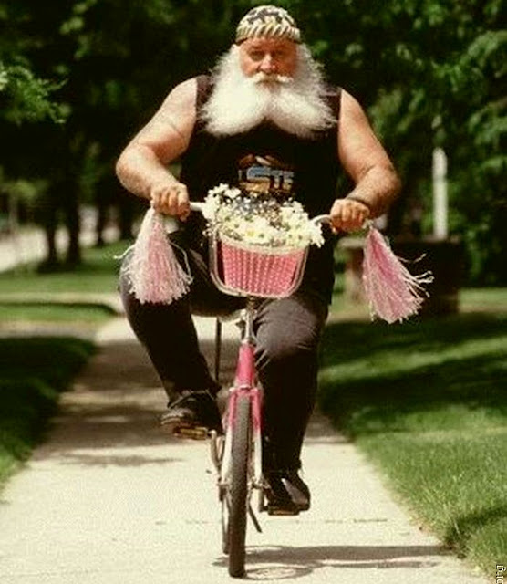 ���� �������