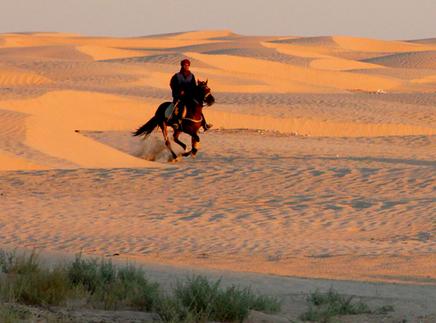 ���� ��������