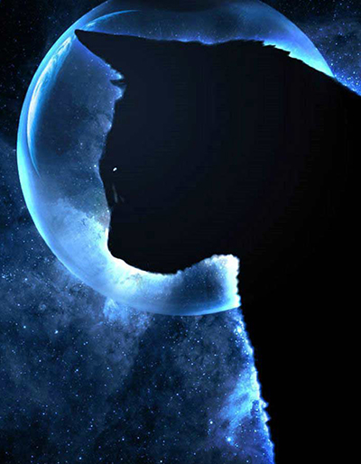 ������ �����