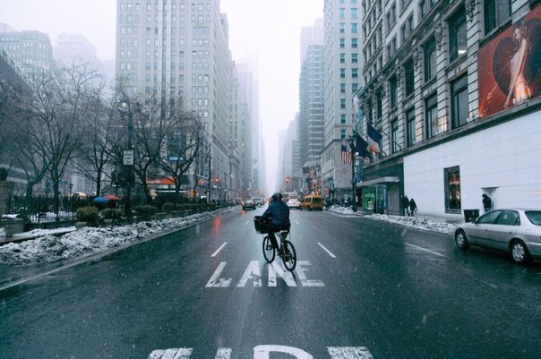 �������� �����