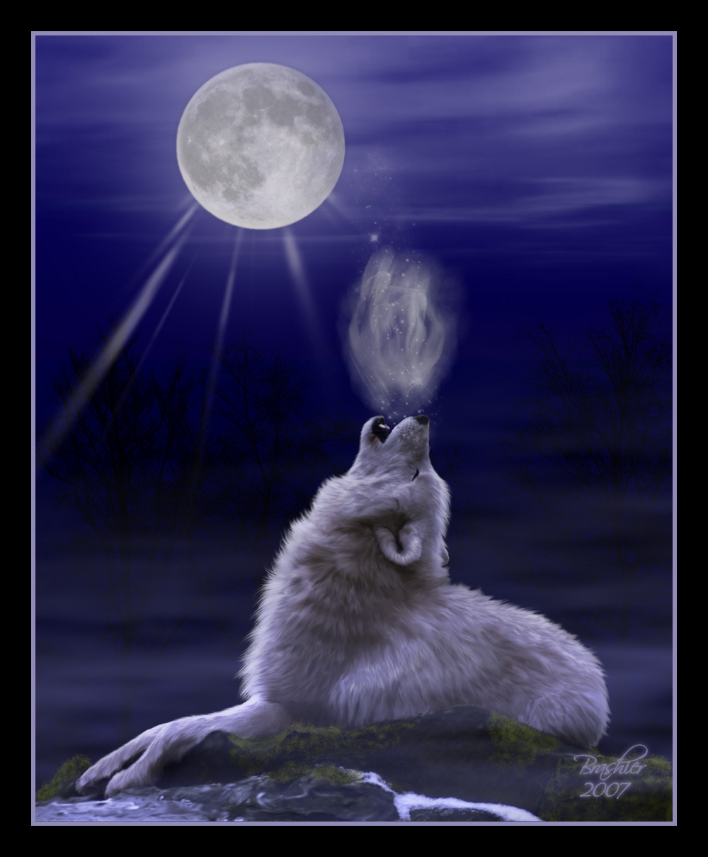 �������� ���� 2