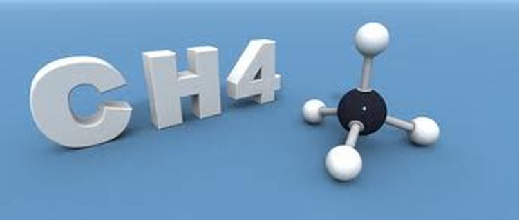 ����� ���� ����