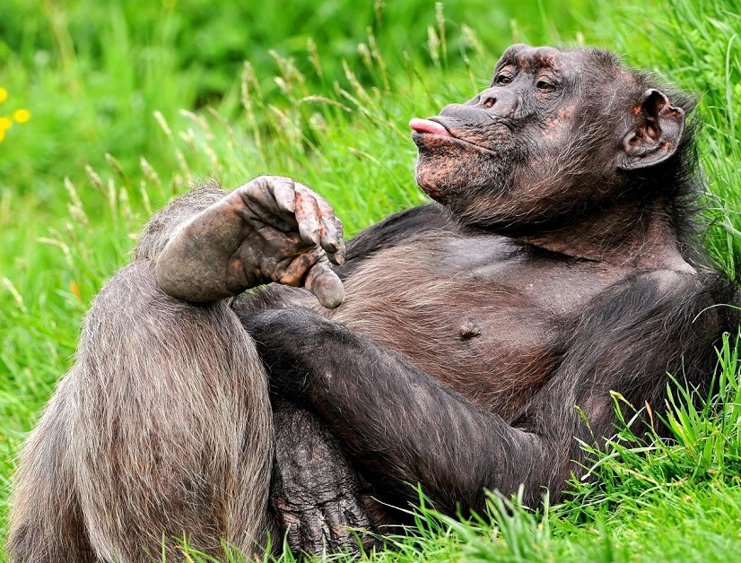 Михаил Задворнов