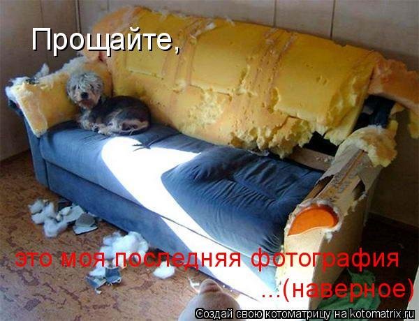 ������ ����� 2