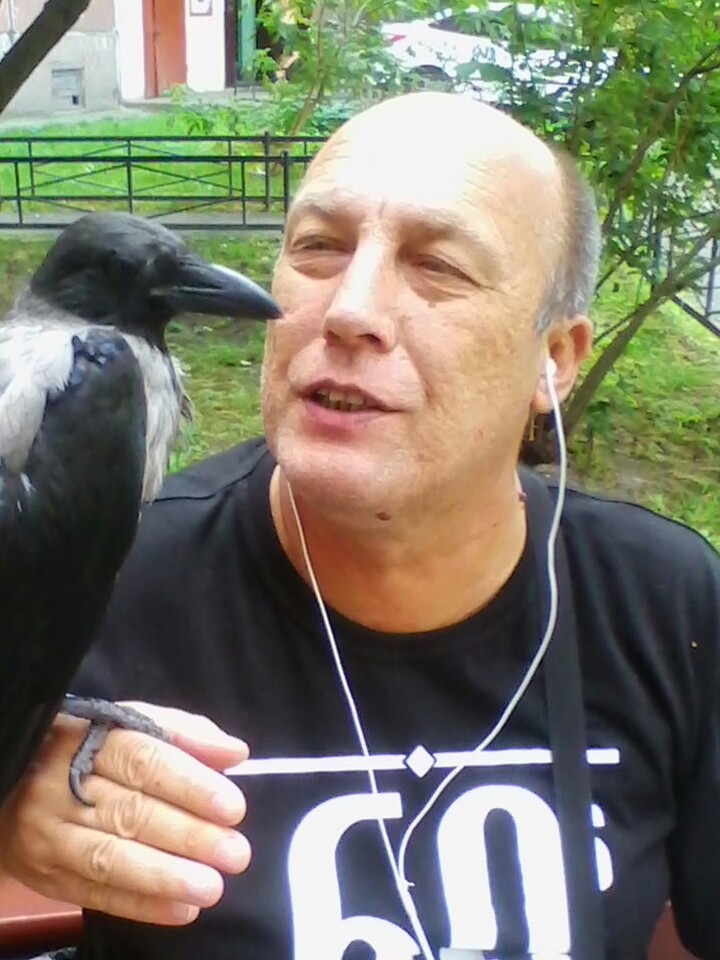 ����� ����� -����