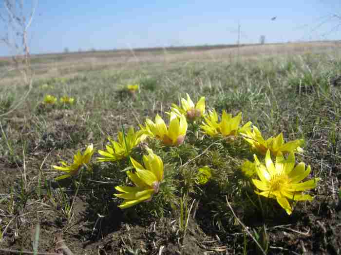 ���� ����