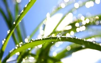 ������� ����������