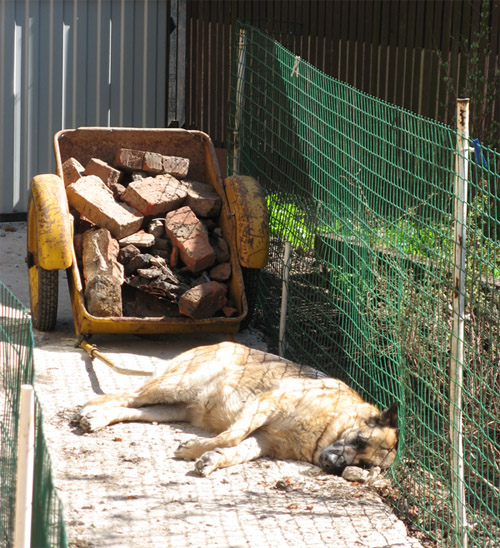 ���� ��������