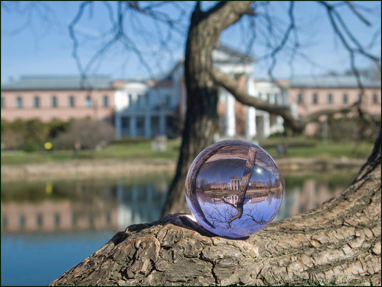 Ольга Егорьевна